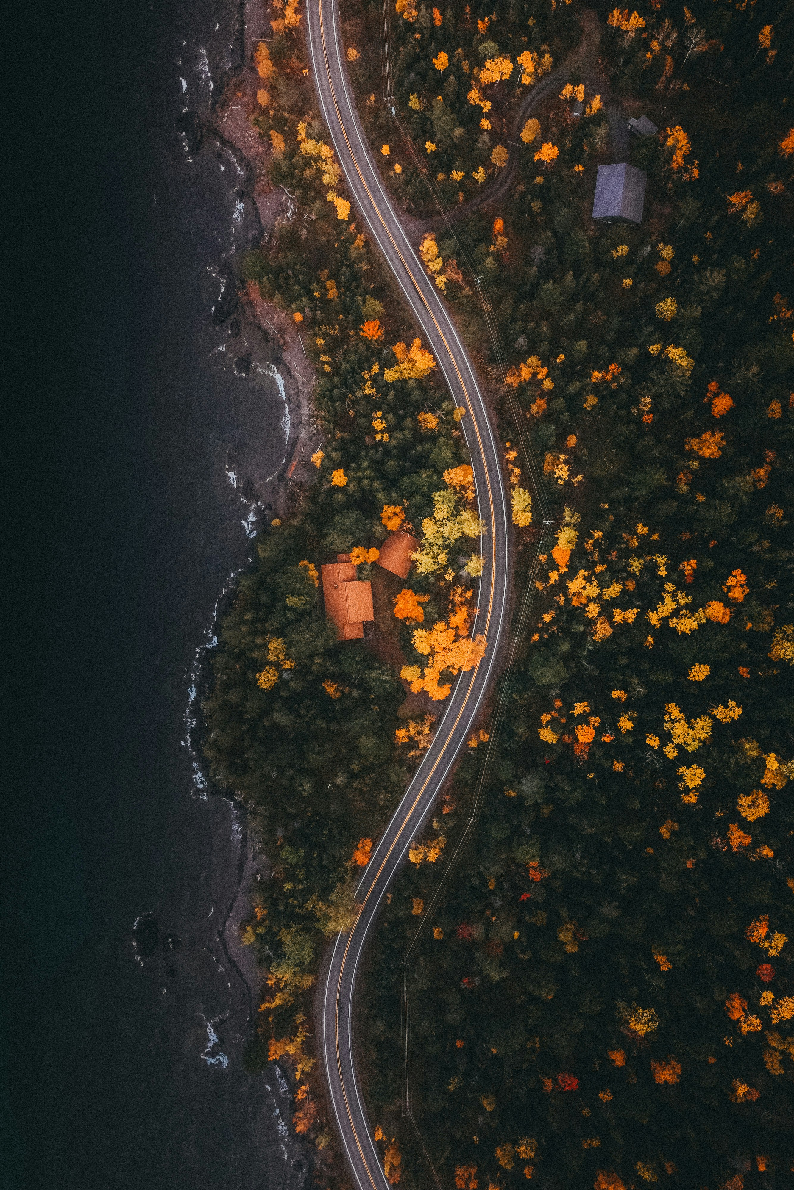 An aerial view of a winding road through a golden forest with the blue ocean beside it, the scenery is very beautiful. - free wallpaper image