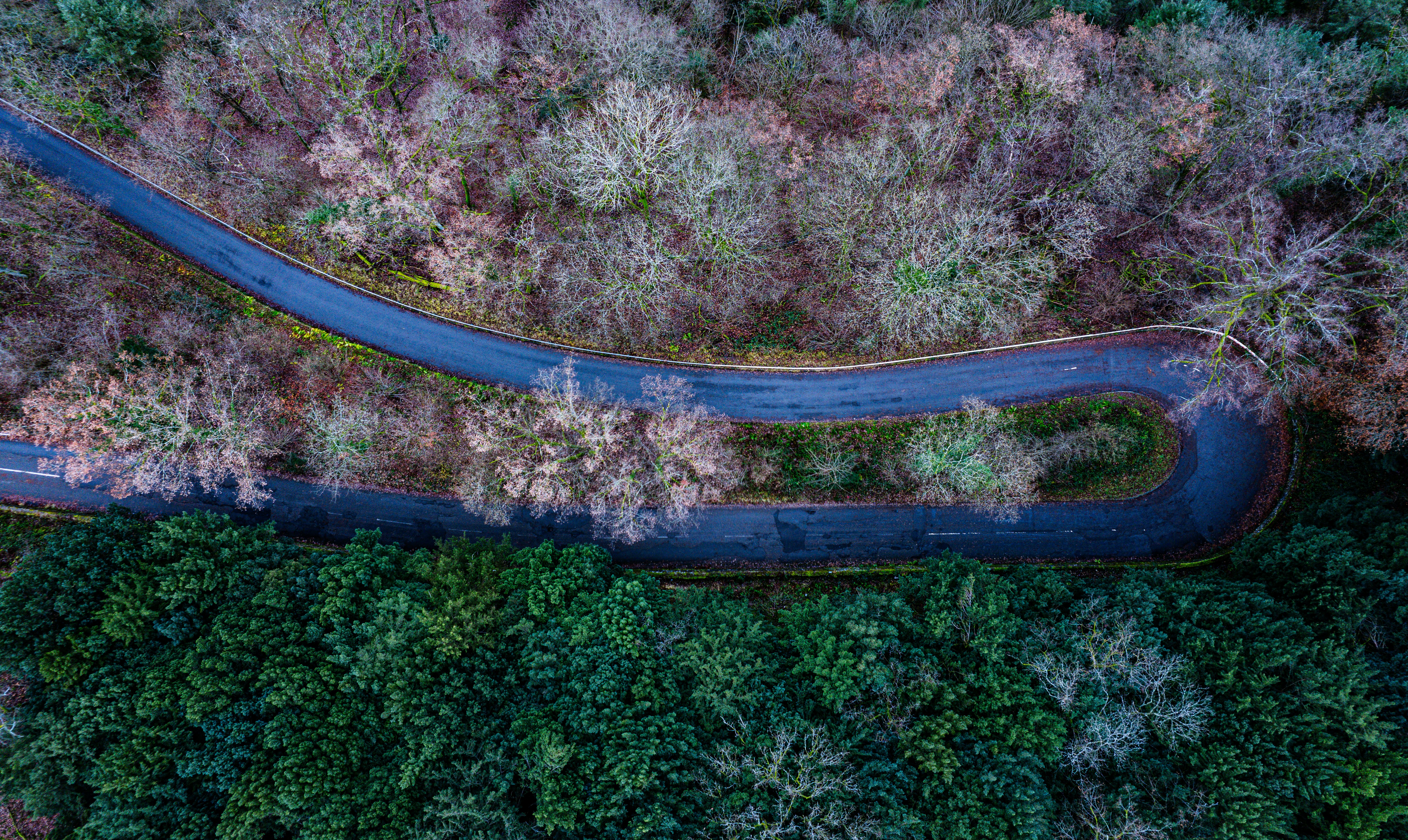 An aerial view of a winding road through a dense forest. - free wallpaper image