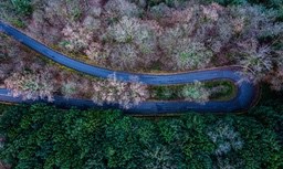 An aerial view of a winding road through a dense forest. - free wallpaper image