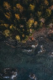 An aerial view of a coastline with lush trees, where the sea crashes against the rocks, creating a beautiful natural landscape. - free wallpaper image