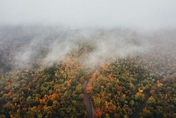 An aerial view of an autumn forest, the trees are dyed with golden and red, a winding road meanders through it, and mist covers the mountains and forests, the scenery is picturesque. - free wallpaper image