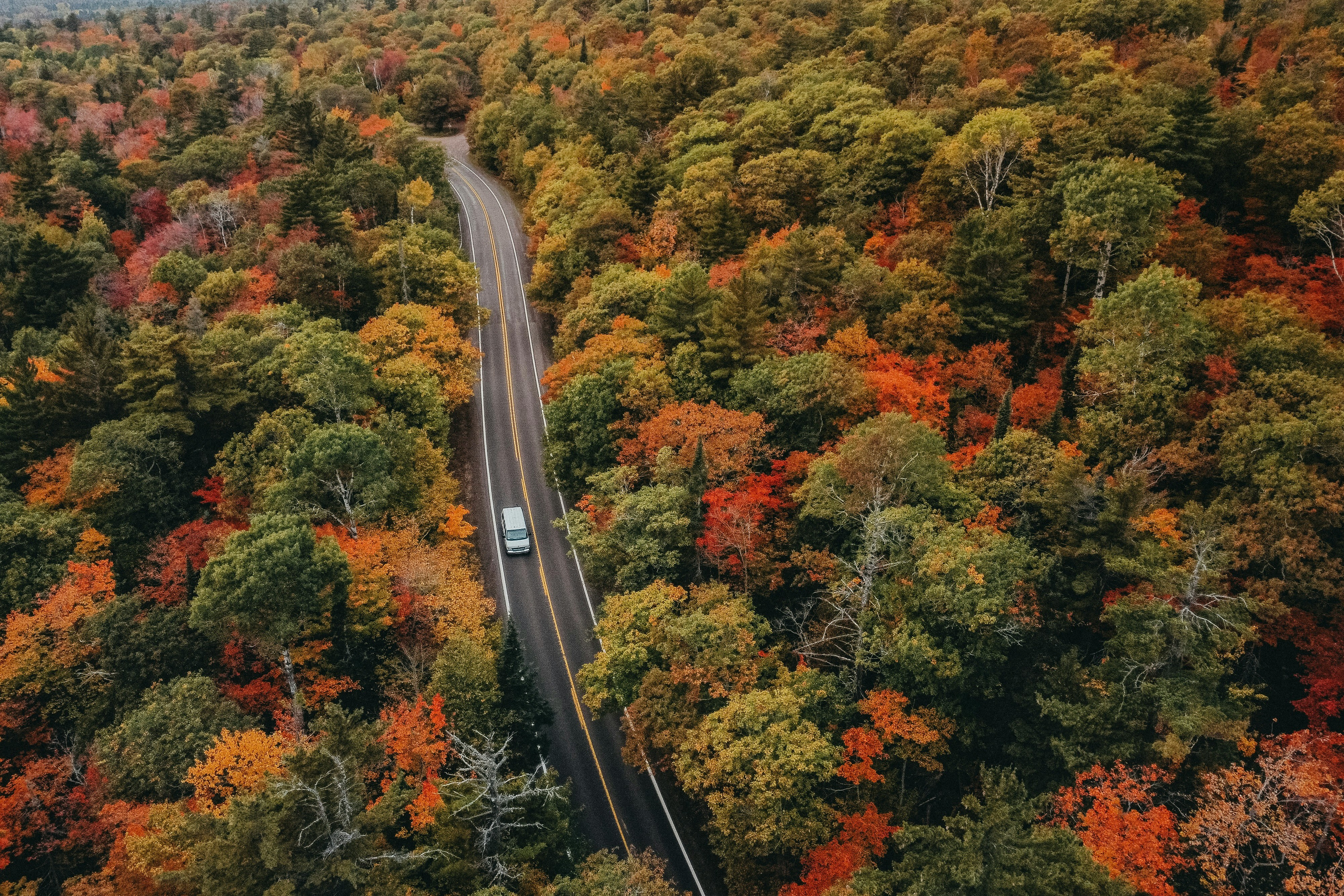 An aerial view of a winding road through a colorful forest, with a white car driving on the road. - free wallpaper image