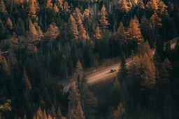 A winding dirt road runs through a dense forest, with a car driving in the distance. - free wallpaper image