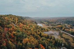 Autumn forest scenery, with layers of trees, yellow and red leaves spread over the hillside, with a winding river in the distance. - free wallpaper image