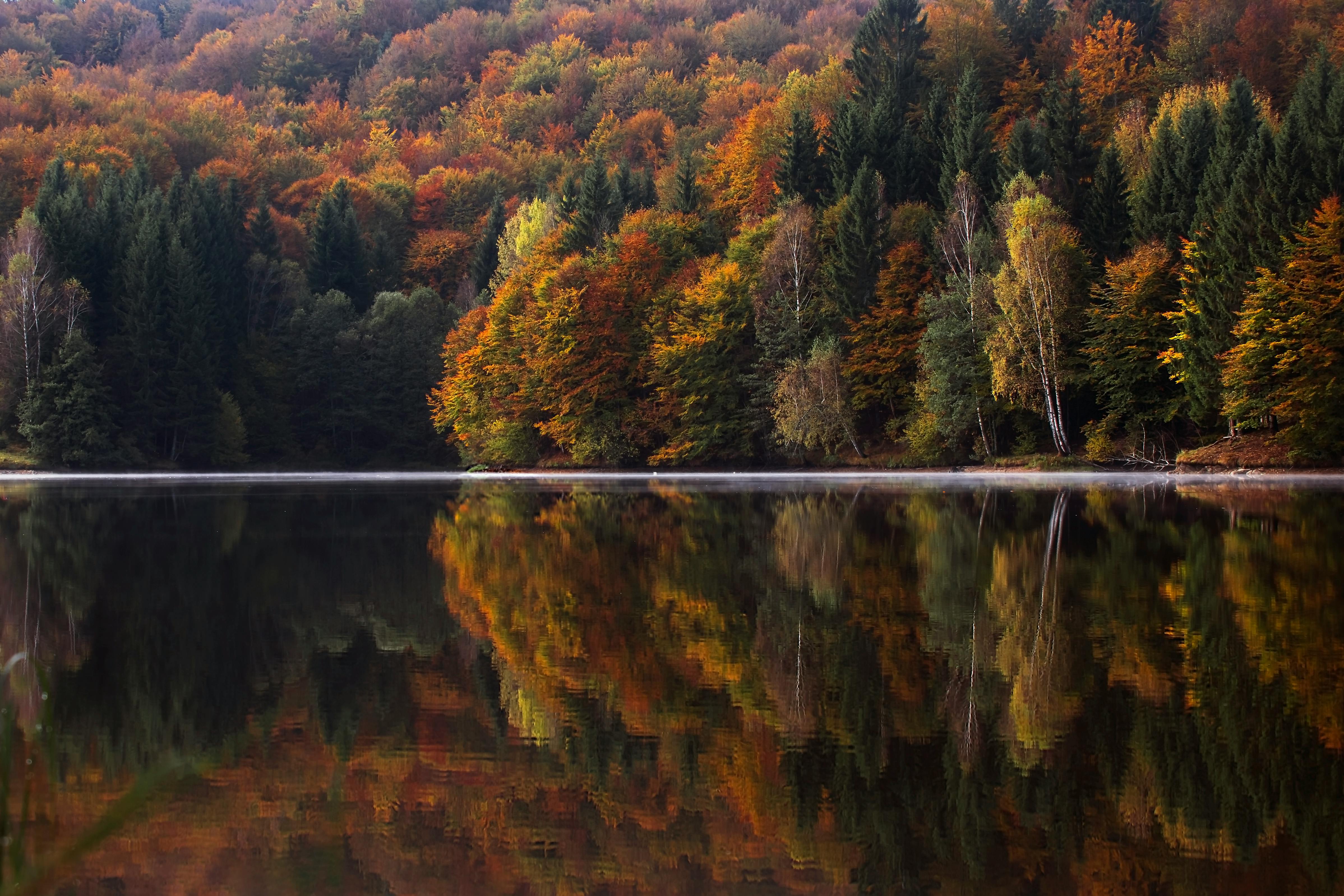 A lake in autumn, the trees are reflected in the calm lake water, forming a beautiful scenery. - free wallpaper image