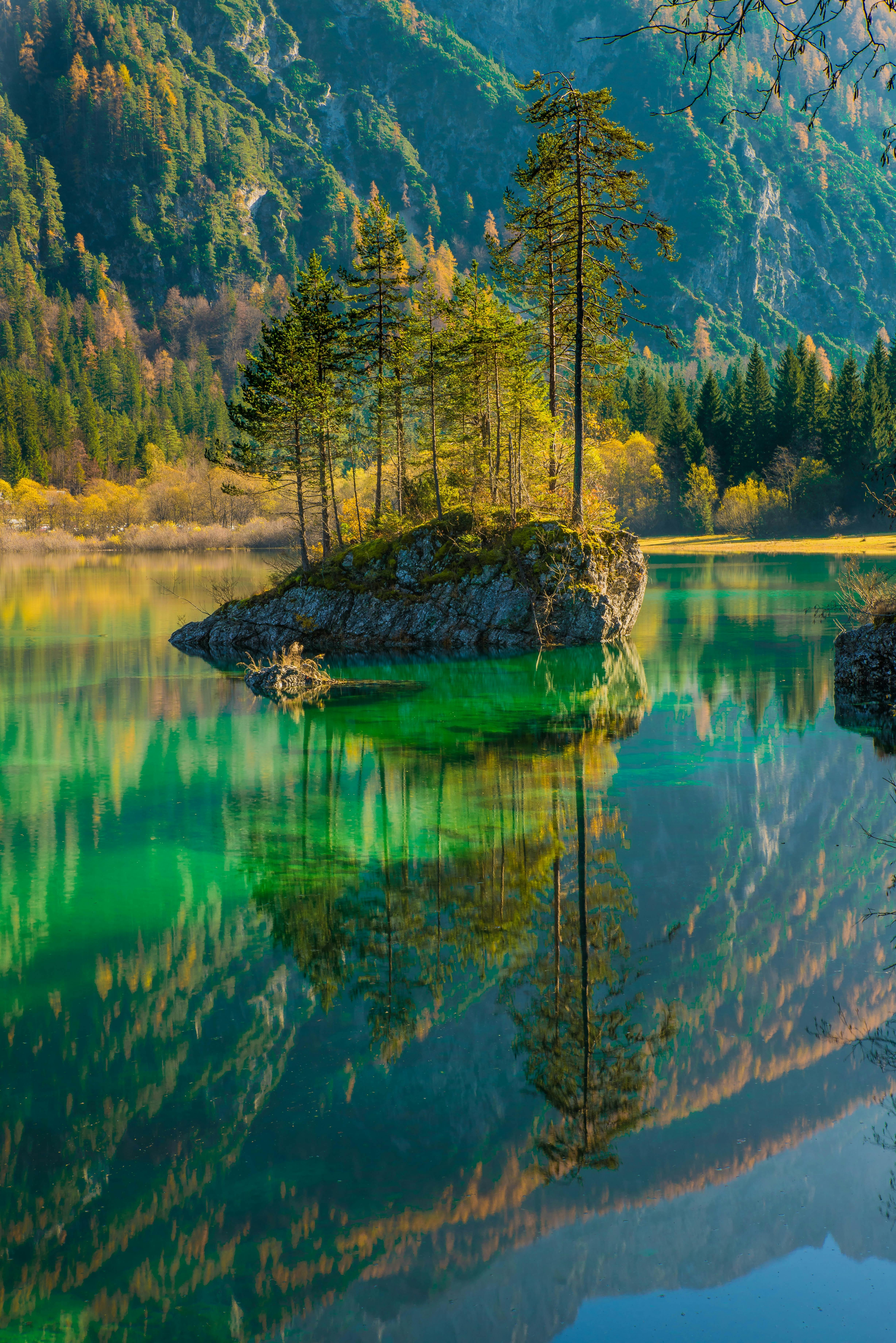 A small island stands in the middle of a turquoise lake, with several tall trees growing on it, their reflections creating a beautiful scene in the water. - free wallpaper image