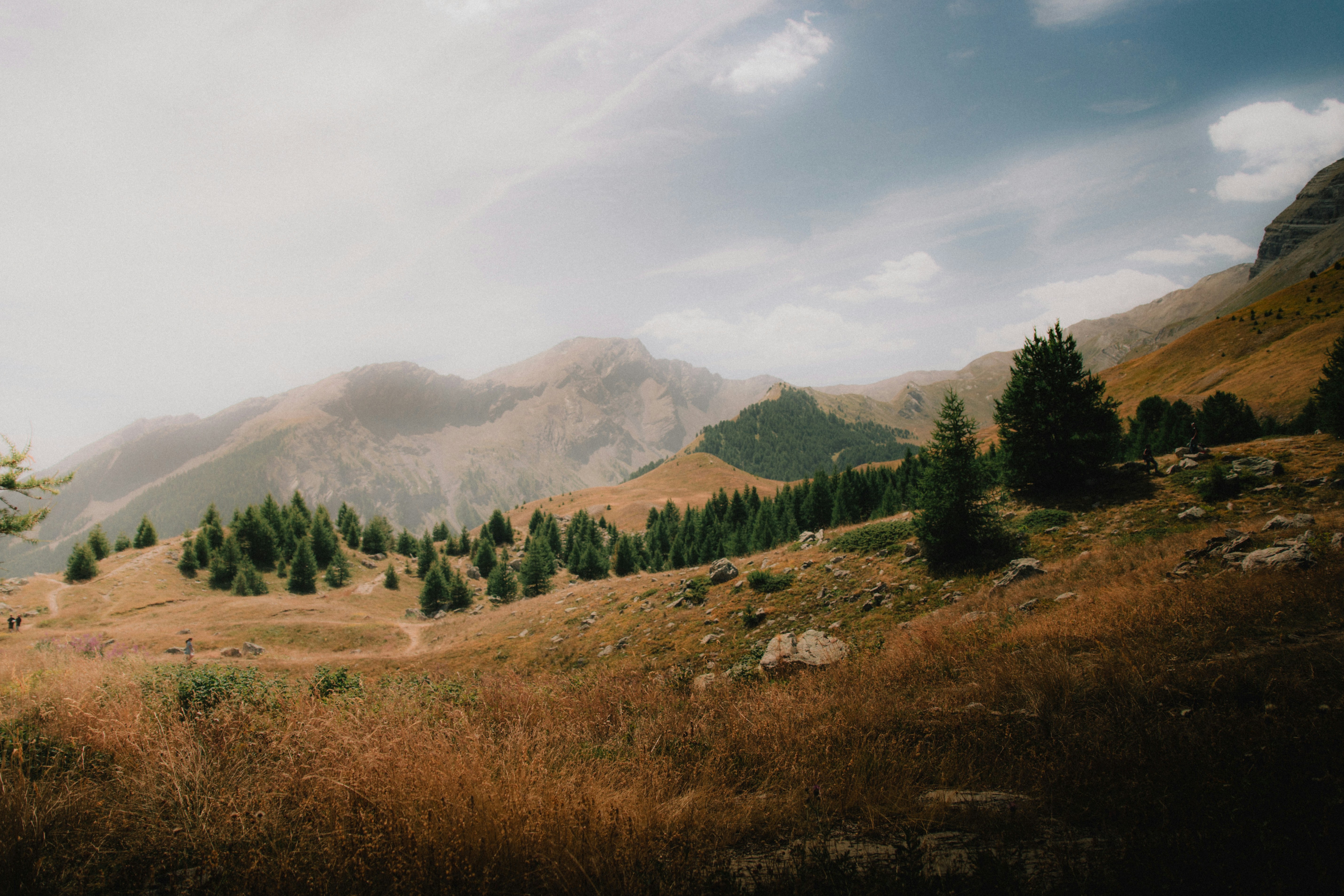 The distant mountains are rugged, the hills are covered with sparse trees, the grass is covered with withered grass, and the sky in the distance is covered with clouds. - free wallpaper image