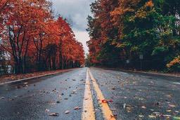 A straight road leads through a forest of red leaves, the road surface is wet and there are some fallen leaves. - free wallpaper image