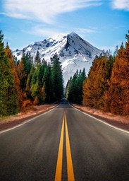 A straight road leads to a distant snowy mountain, with dense forests on both sides, the trees are in autumn colors. - free wallpaper image