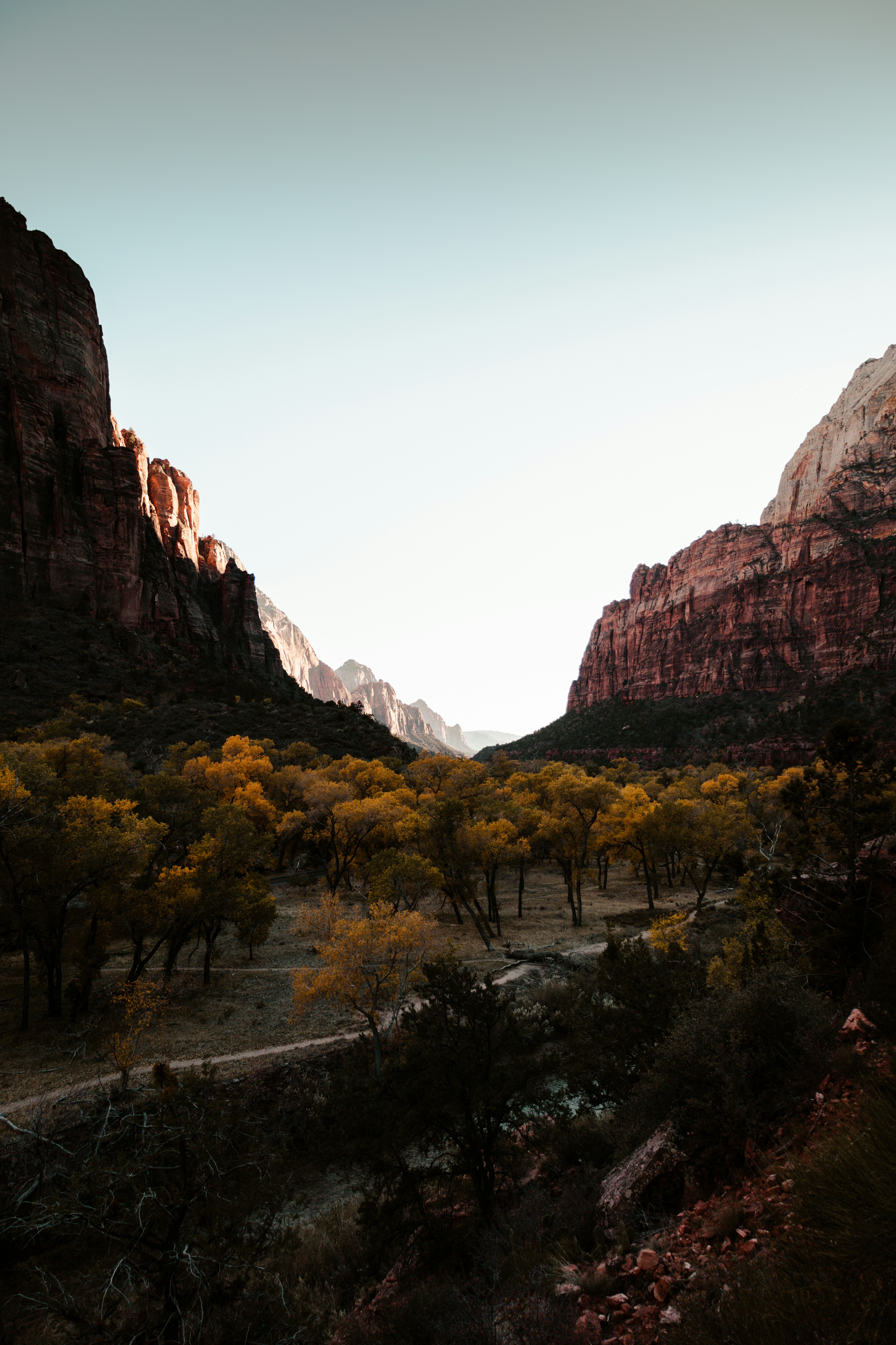 A lush green forest nestled between two towering peaks, sunlight illuminating the peaks, creating a golden ray. - free wallpaper image