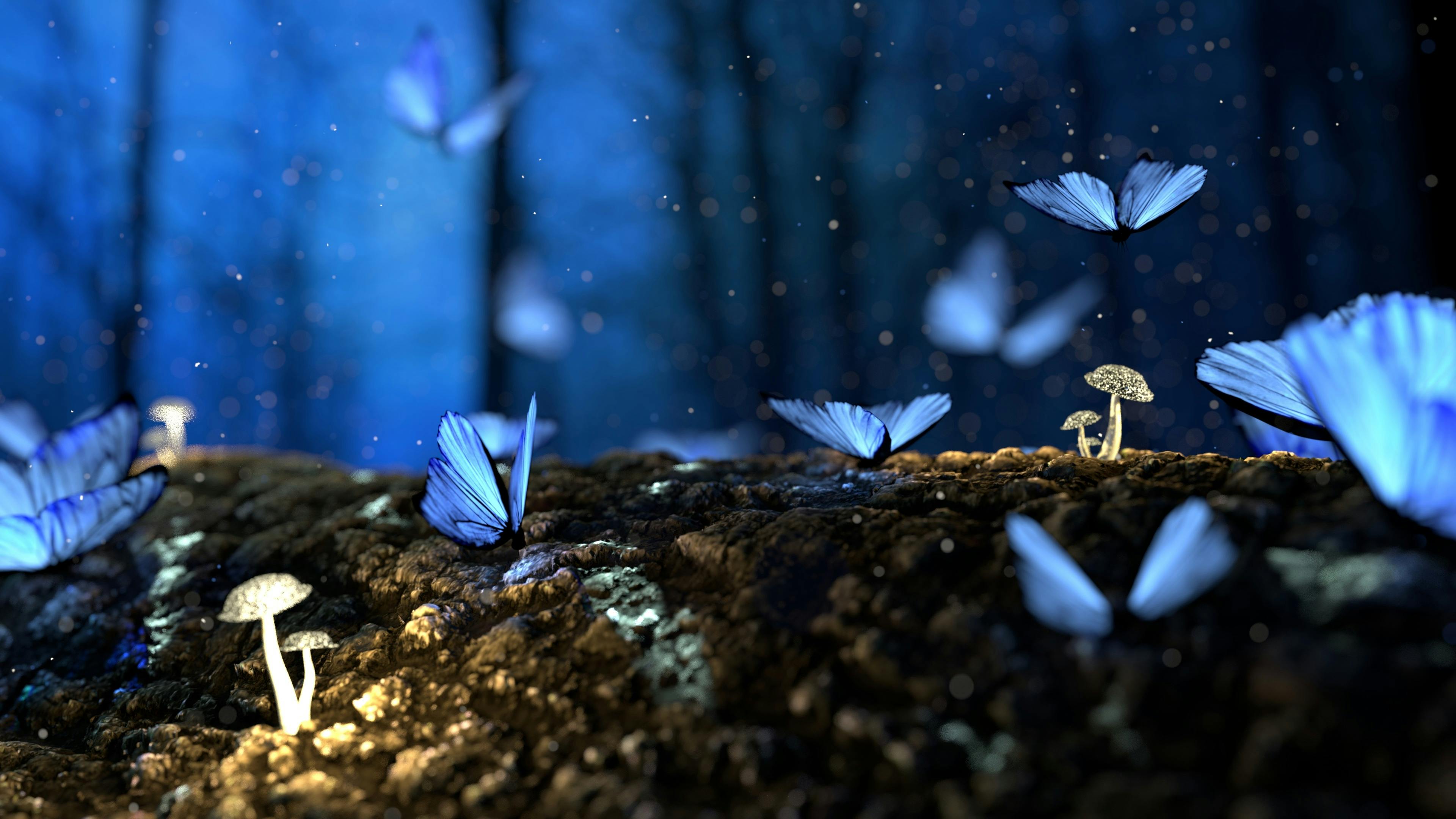 Blue butterflies fly in a dark forest, the silhouette of trees is vaguely visible in the night, and there are a few white mushrooms growing on the ground. - free wallpaper image