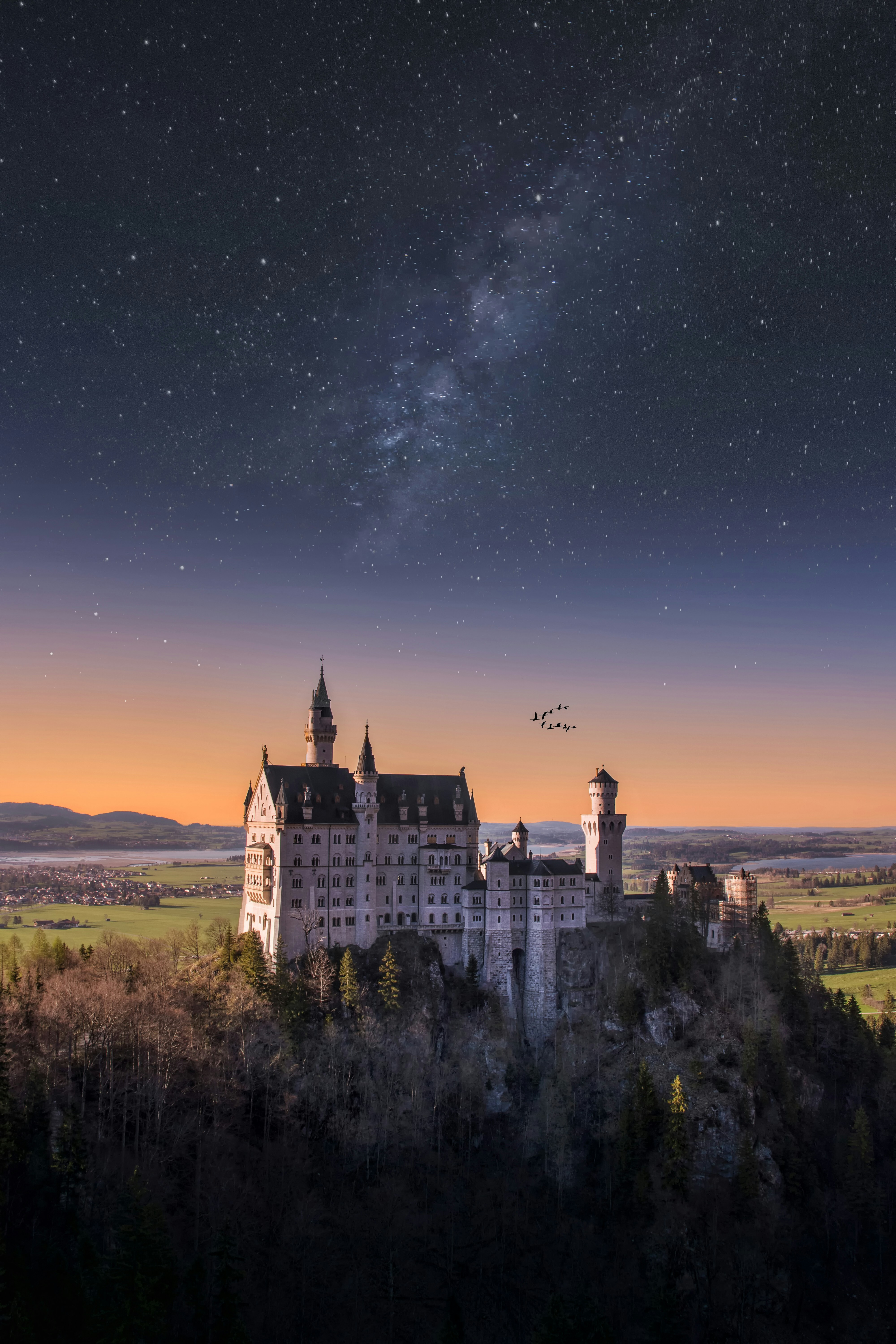 At night, under a starry sky, a majestic castle stands on a hilltop, surrounded by dense forest, with twinkling town lights in the distance. - free wallpaper image