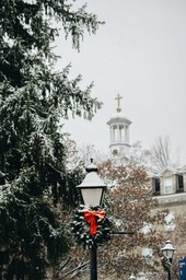 Christmas lights in a snowy scene, the lamp is decorated with a Christmas wreath, beside it are trees and buildings - wallpaper image