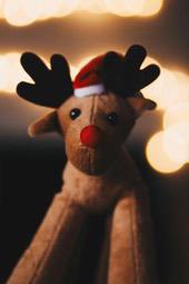 A plush reindeer toy wearing a Santa hat is looking directly at the camera, with warm lights in the background. - wallpaper image