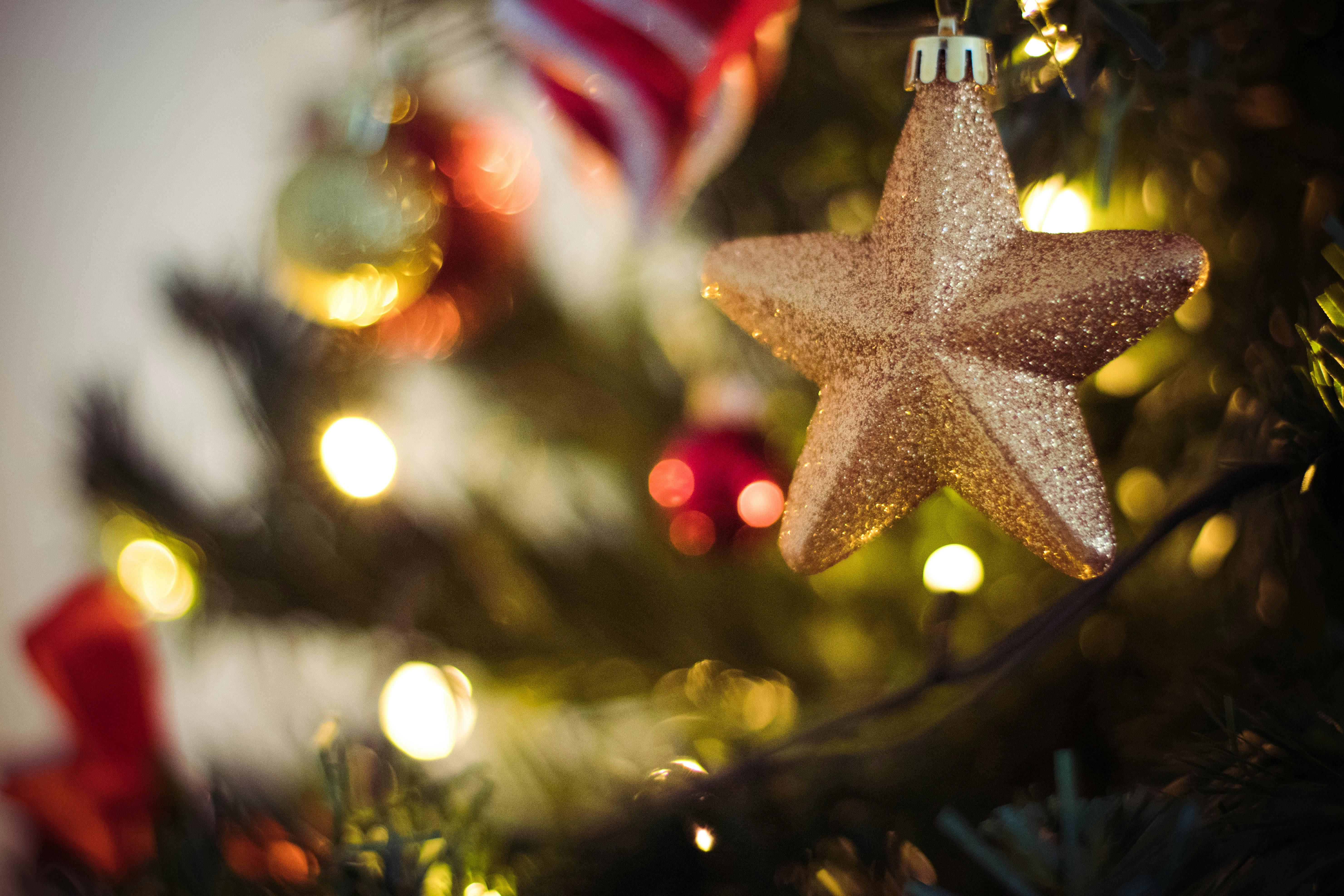 A Christmas tree decorated with a golden star, string lights, and red ornaments. - wallpaper image