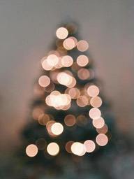 A Christmas tree decorated with twinkling lights, creating a warm atmosphere. - wallpaper image