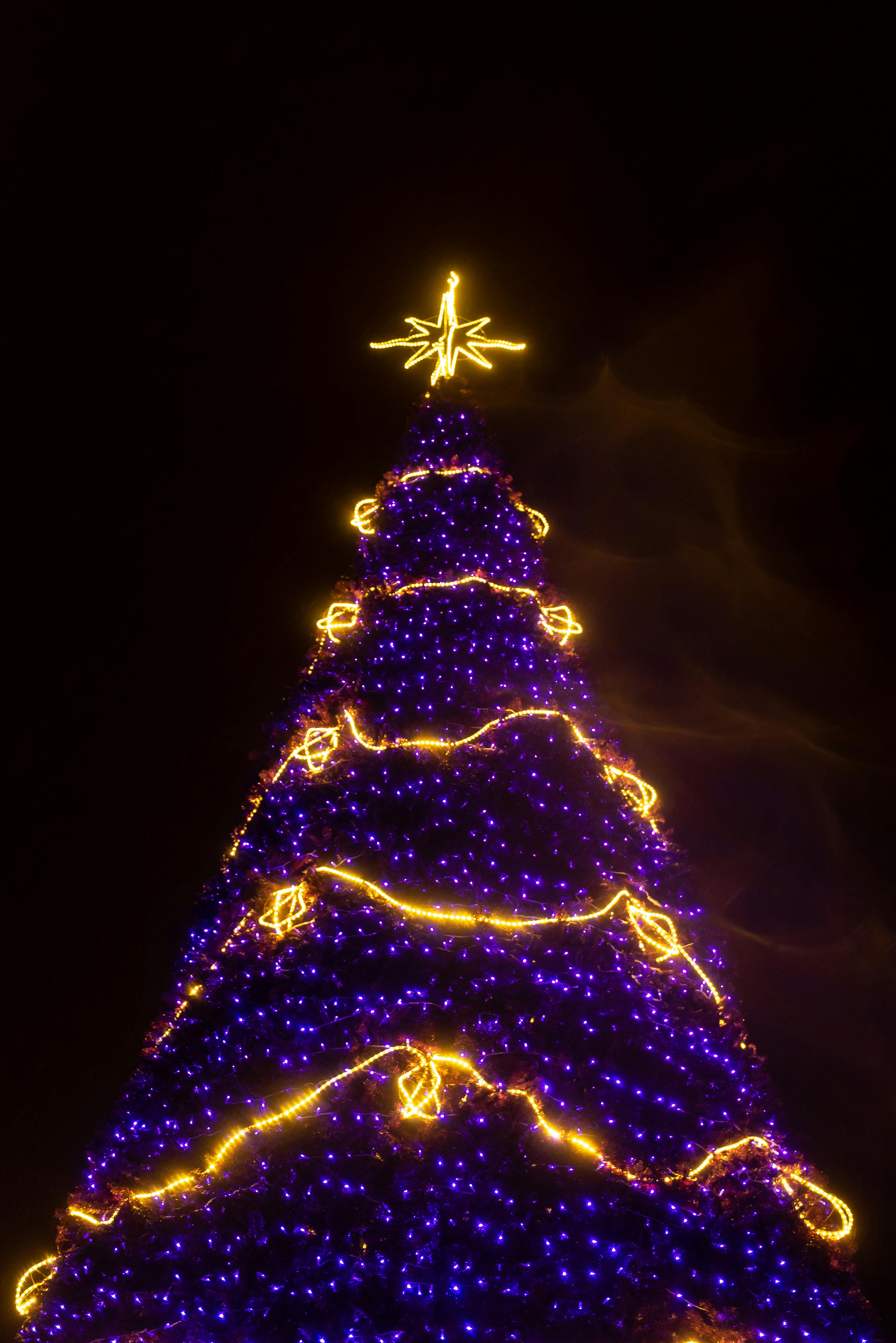 A large Christmas tree decorated with purple lights, with a bright golden star on top, surrounded by a black night sky. - wallpaper image