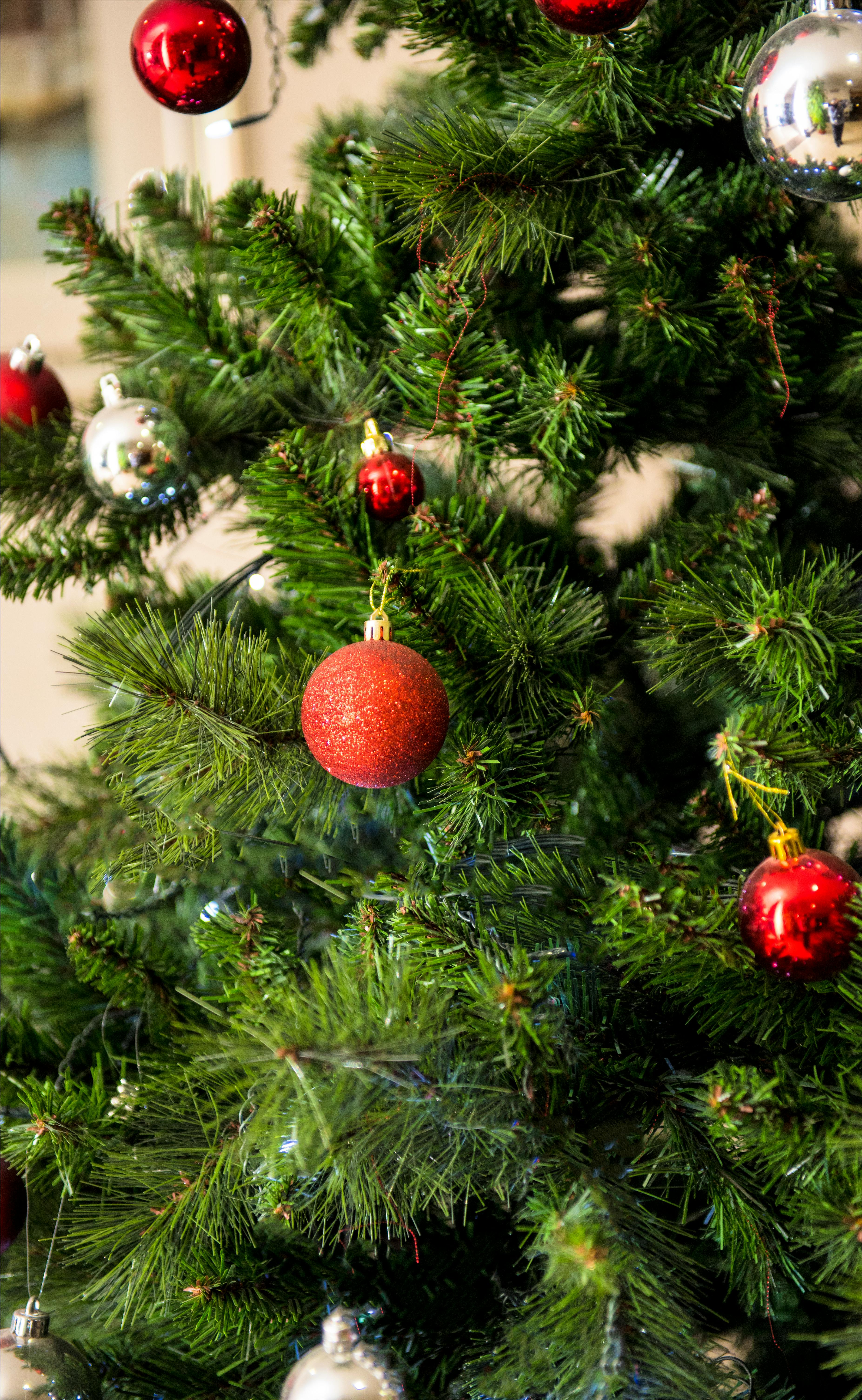 A Christmas tree decorated with red balls and silver ornaments, the scene is full of festive atmosphere. - wallpaper image