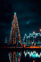 A Christmas tree decorated with colorful lights is reflected in the calm water at night, surrounded by tall buildings dotted with lights. - wallpaper image