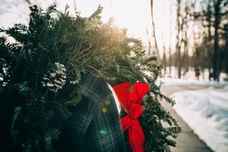 A green Christmas wreath with a red ribbon hanging on a door with a background of snowy landscape and blurred trees. - wallpaper image