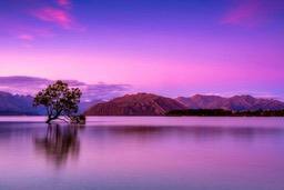 The sky is a dreamy purple and pink at sunset, the lake water is calm as a mirror, a lone tree stands in the lake, the reflection is clear, and there are rolling mountains in the distance. - free wallpaper image