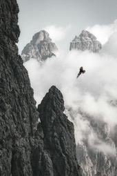 A towering mountain peak is covered in thick clouds, with an eagle flying through the clouds. - free wallpaper image