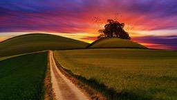 A winding road leads through a field of green grass under a vibrant sunset sky. - free wallpaper image