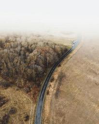 A winding road stretches out from the forest into the distance, with dry yellow grass on either side, and the sky is shrouded in fog. - free wallpaper image