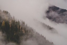 A foggy forest in the mountains, the trees are barely visible. - free wallpaper image