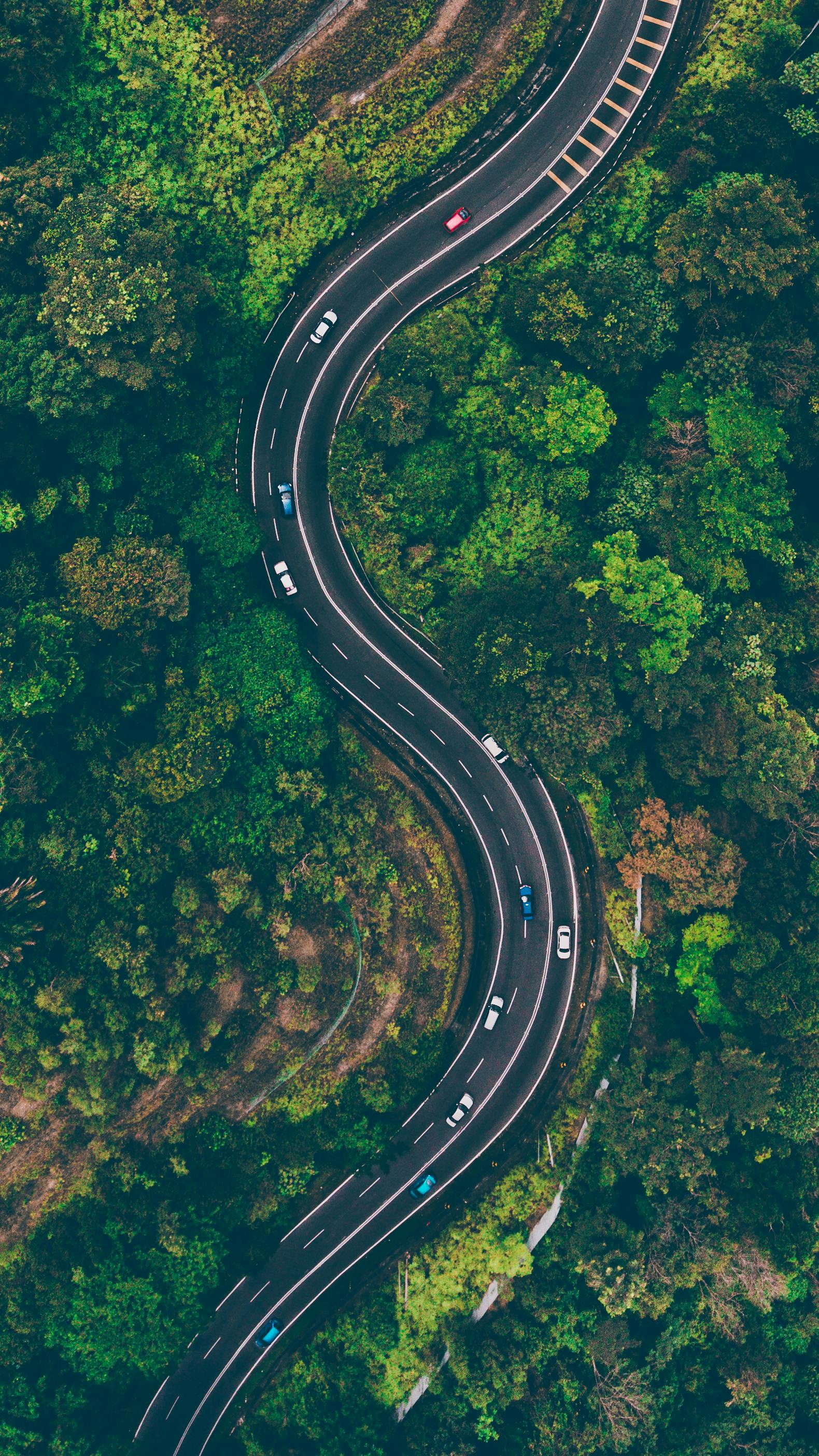 An aerial view of a winding road through a dense forest, with several cars driving on the road. - free wallpaper image