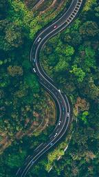 An aerial view of a winding road through a dense forest, with several cars driving on the road. - free wallpaper image