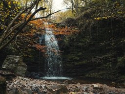 A waterfall in the forest, the water flows down from a high place, the surrounding trees are lush and the scenery is beautiful. - free wallpaper image