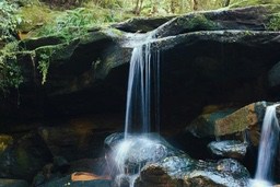 A small waterfall in the forest, clear water flows down from the rocks, surrounded by lush trees and moss-covered rocks. - free wallpaper image