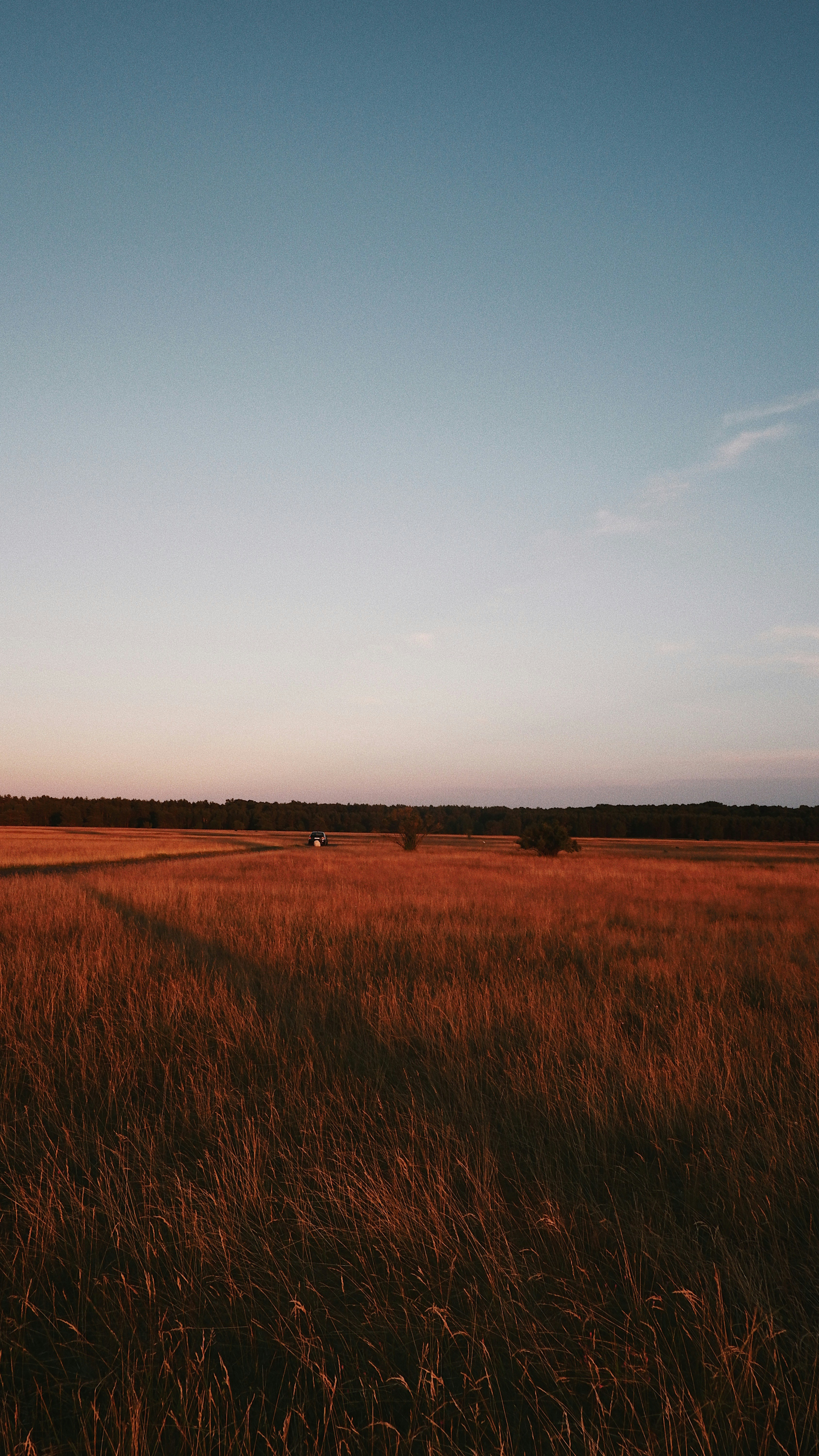 The sunset casts an orange glow on the sky, a field of golden grass stretches out in the distance, a peaceful scene. - free wallpaper image