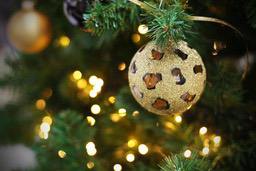 A gold Christmas bauble with a leopard print pattern hangs on a Christmas tree, with green branches and twinkling lights in the background. - wallpaper image