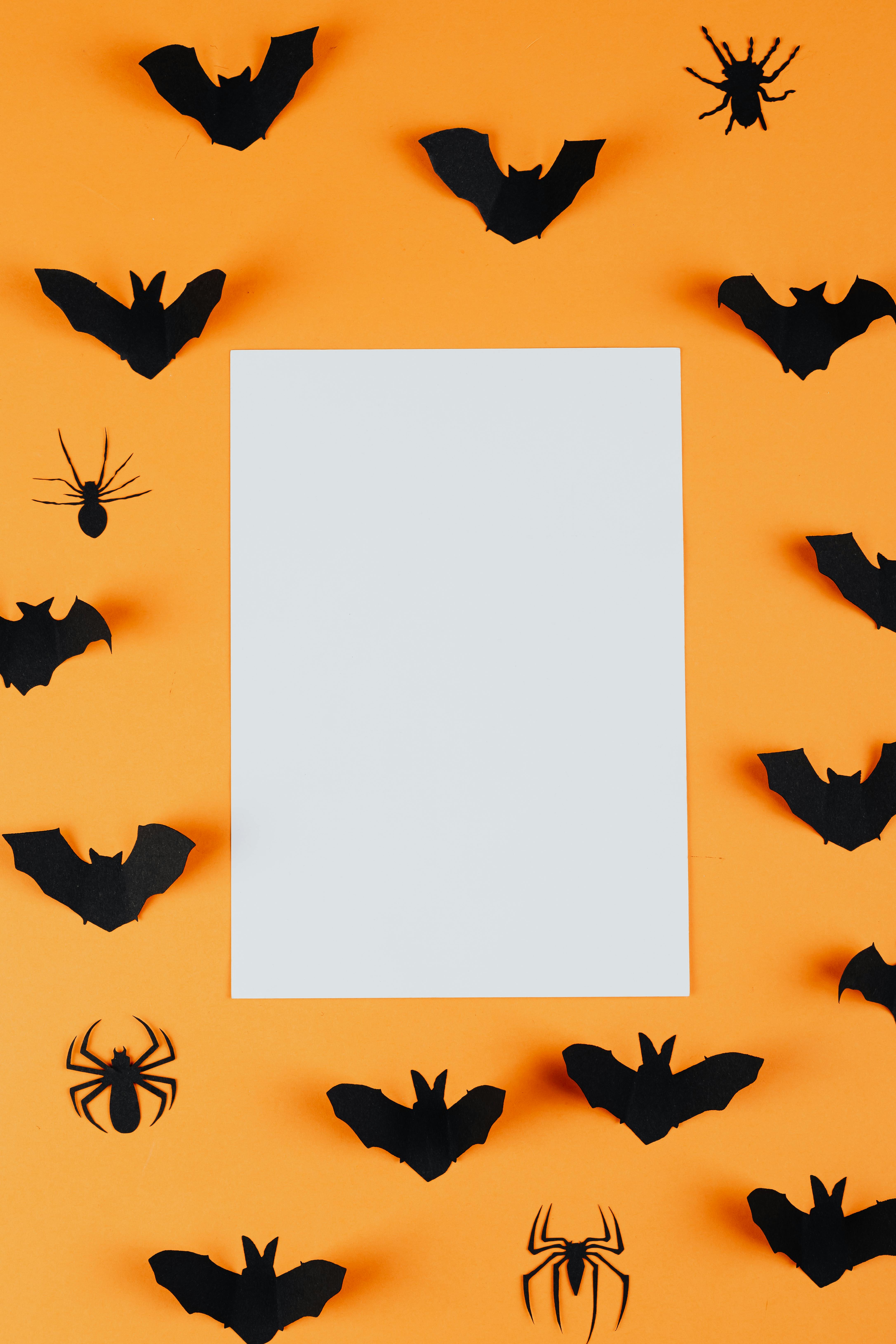 An orange background with black paper cutouts of bats and spiders, with a white space in the middle, is a Halloween-themed background image. - wallpaper image