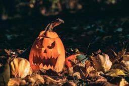 A jack-o&apos;-lantern sits in a pile of autumn leaves, with a few other pumpkins nearby. - wallpaper image