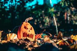 A jack-o&apos;-lantern sits in a pile of leaves, looking scary. - wallpaper image