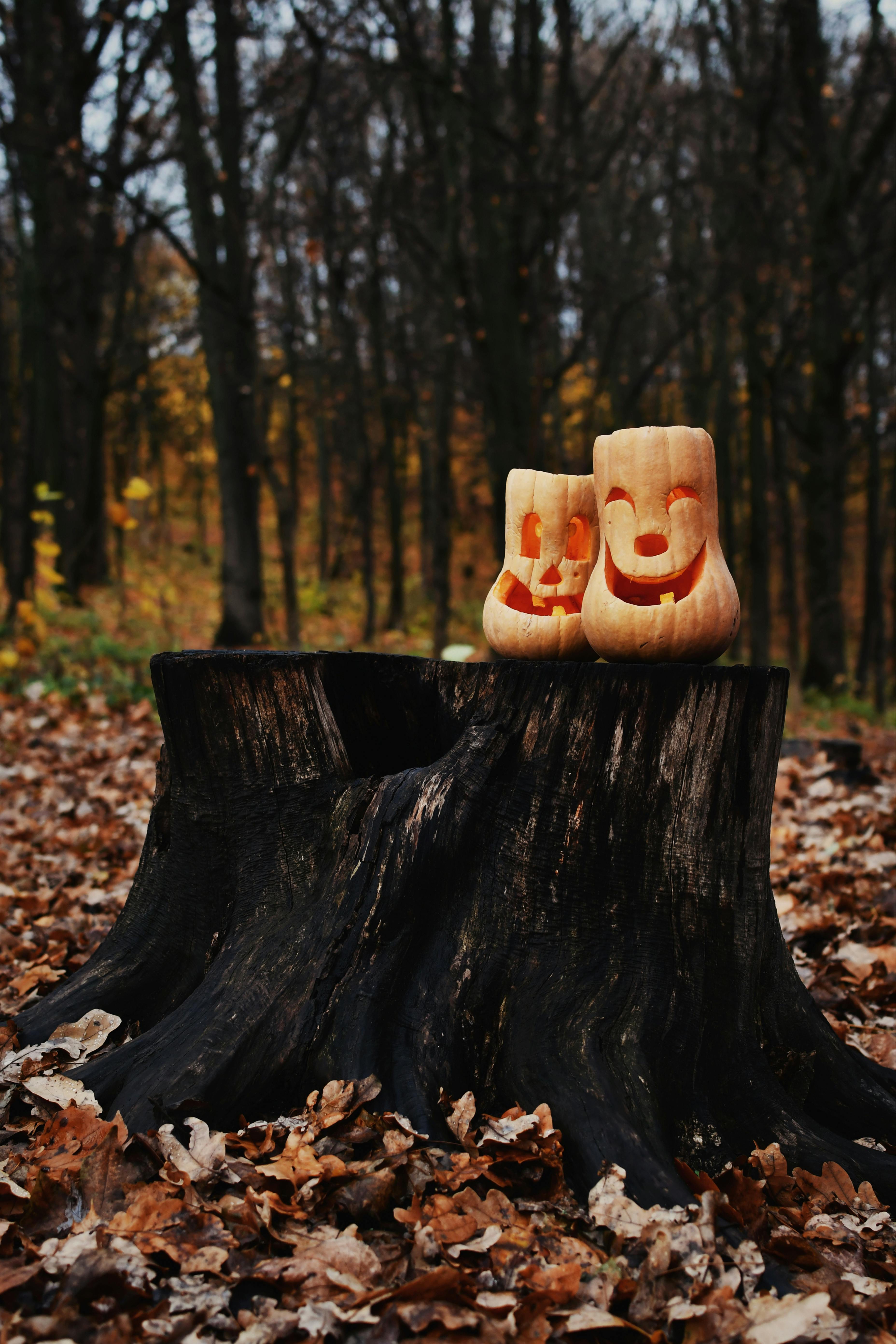 Two jack-o&apos;-lanterns are placed on a tree stump, with an autumn forest in the background. - wallpaper image