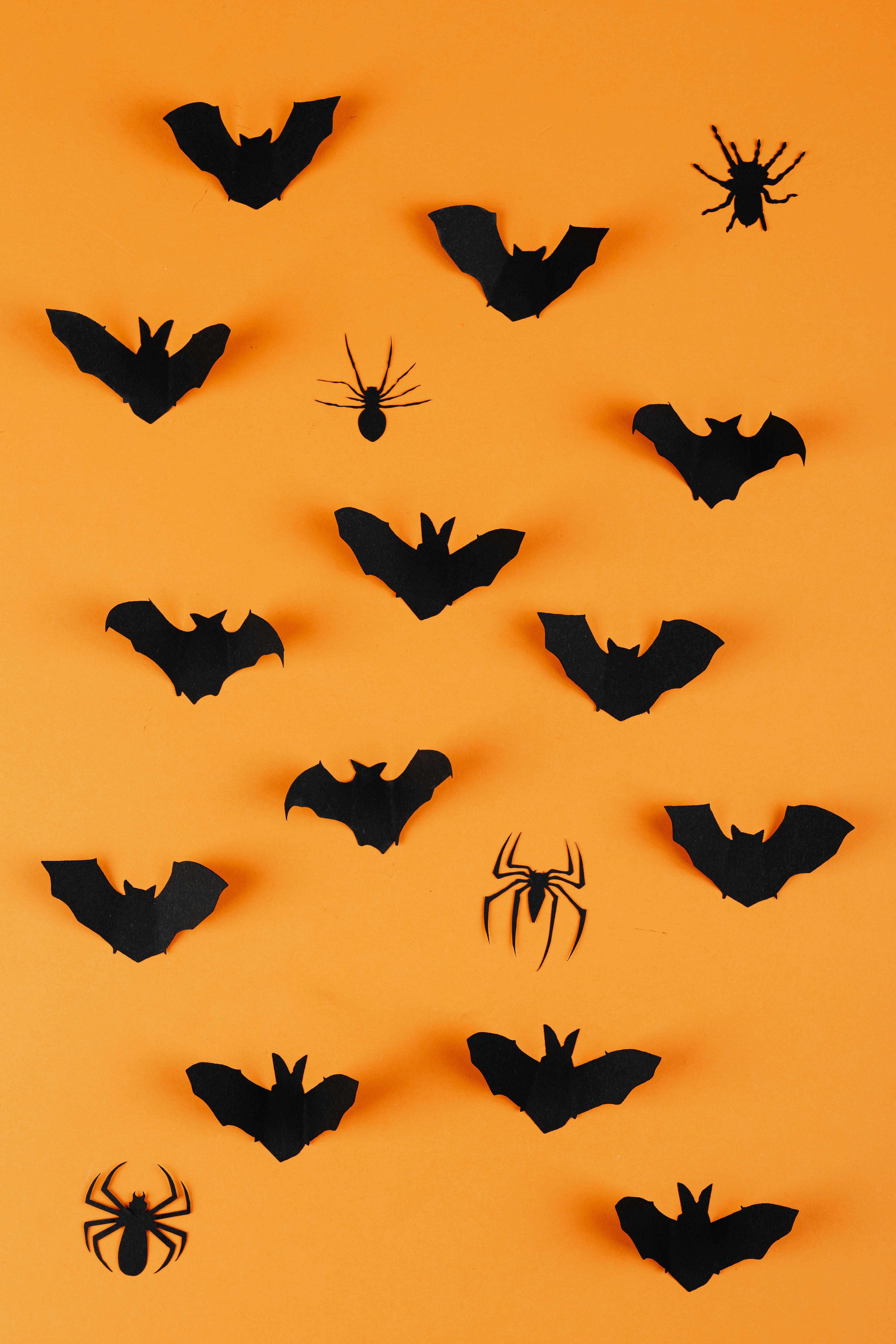 Black paper bats and spiders cutouts on an orange background, creating a Halloween atmosphere. - wallpaper image