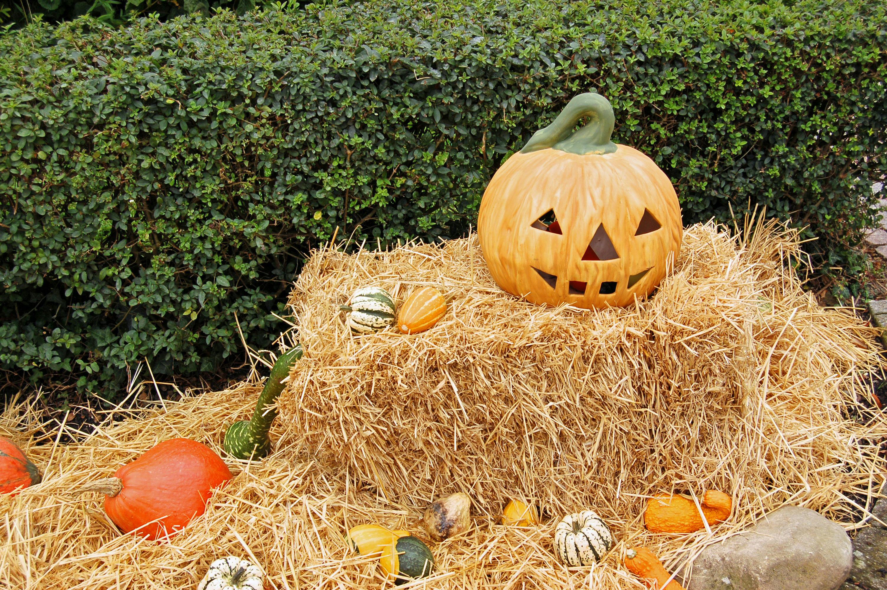 A carved pumpkin is placed on a bale of hay with some small pumpkins and decorations scattered around. - wallpaper image