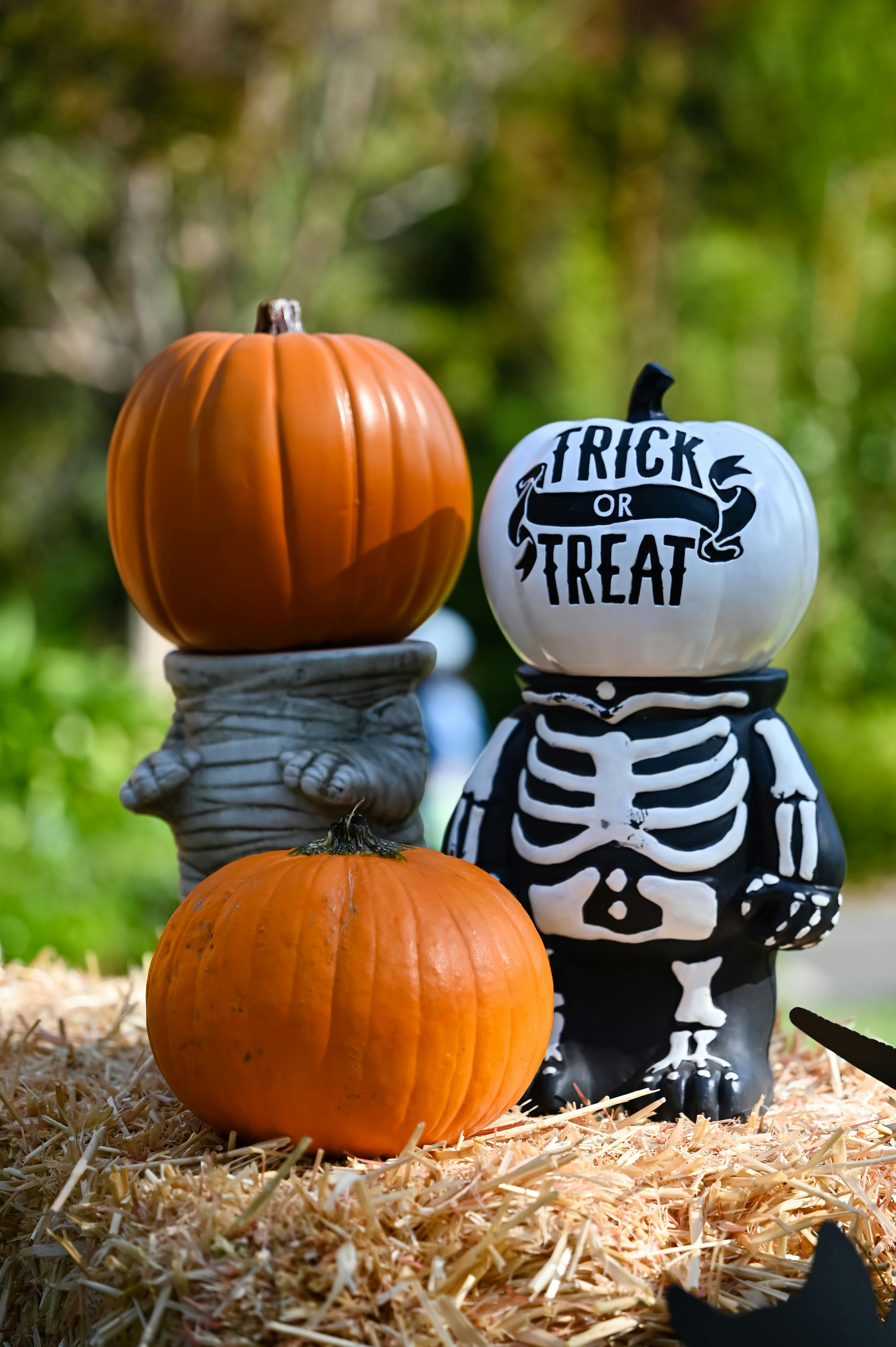 Two pumpkins, one dressed as a skeleton with the words "trick or treat" on it, the other decorated as a mummy, are placed on a straw pile. - wallpaper image