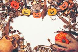 Some Halloween elements are placed on a white background, including pumpkins, skulls, dead branches and dried flowers. The overall tone is dark, creating a spooky atmosphere. - wallpaper image