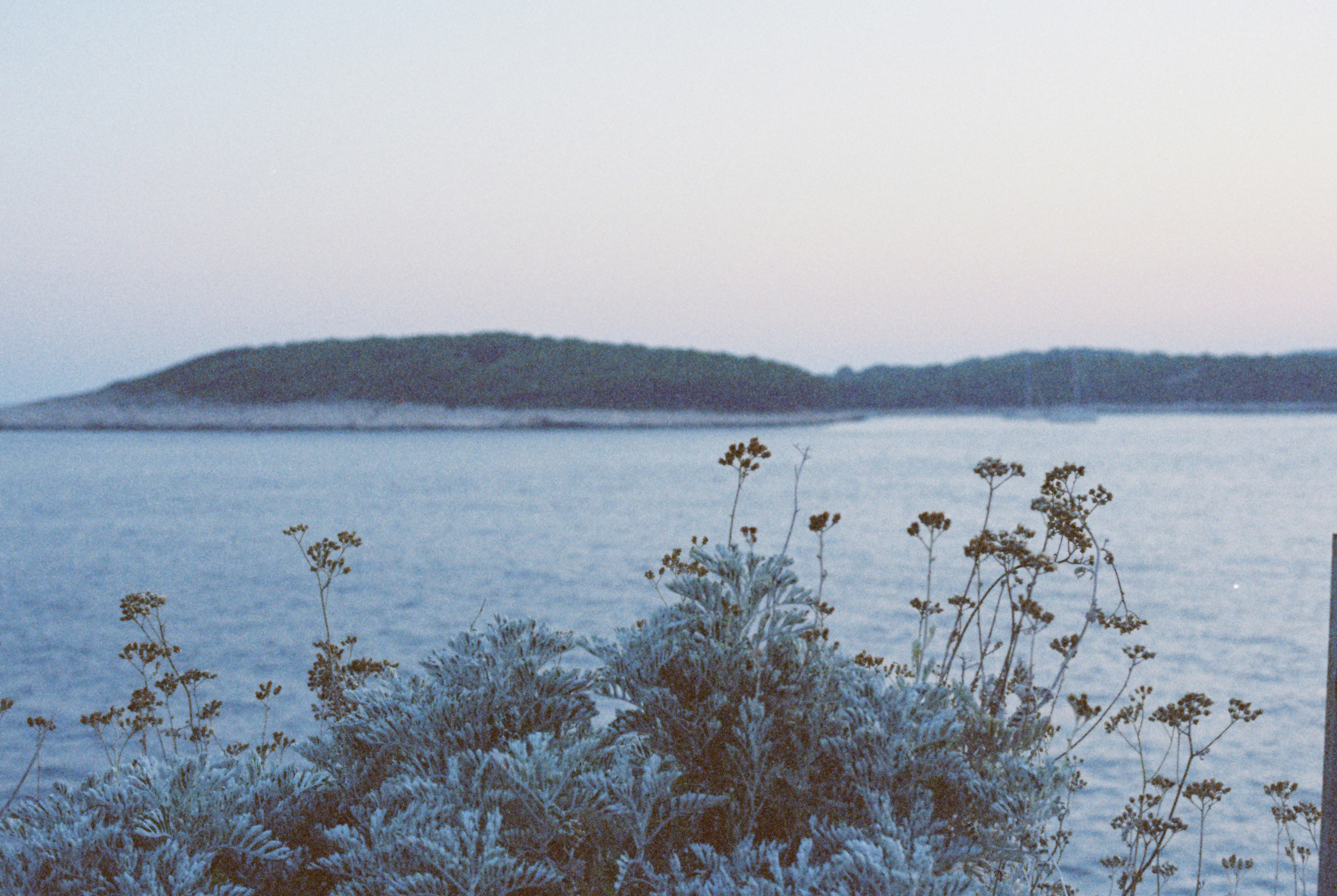 A small island in the distance, lush bushes growing by the sea in the foreground, with faint clouds in the sky. - free wallpaper image