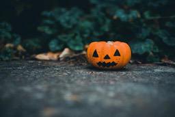 A jack-o&apos;-lantern sits on the ground with a green bush in the background. - wallpaper image