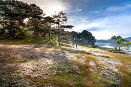 There are several trees dotting a vast grassy field, a blue lake in the distance, and a few people walking on the grass. - free wallpaper image