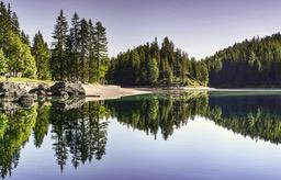 The calm lake reflects the surrounding trees, creating a beautiful reflection, the lake water is a clear blue. - free wallpaper image