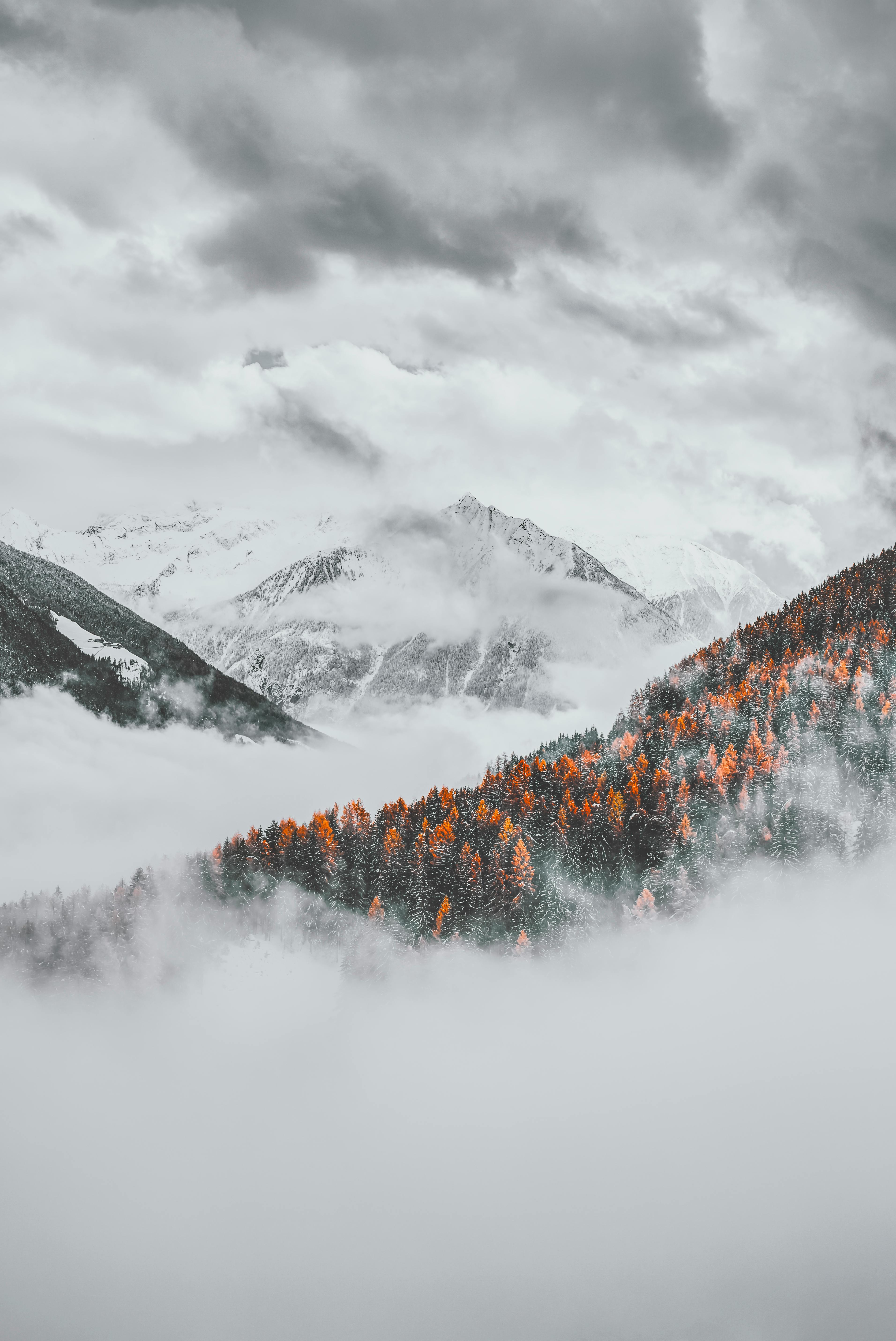 Mountains are covered with white snow, the forests are shrouded in mist, there are a few green trees between the mountains, the overall tone is gray and white, with orange tones. - free wallpaper image