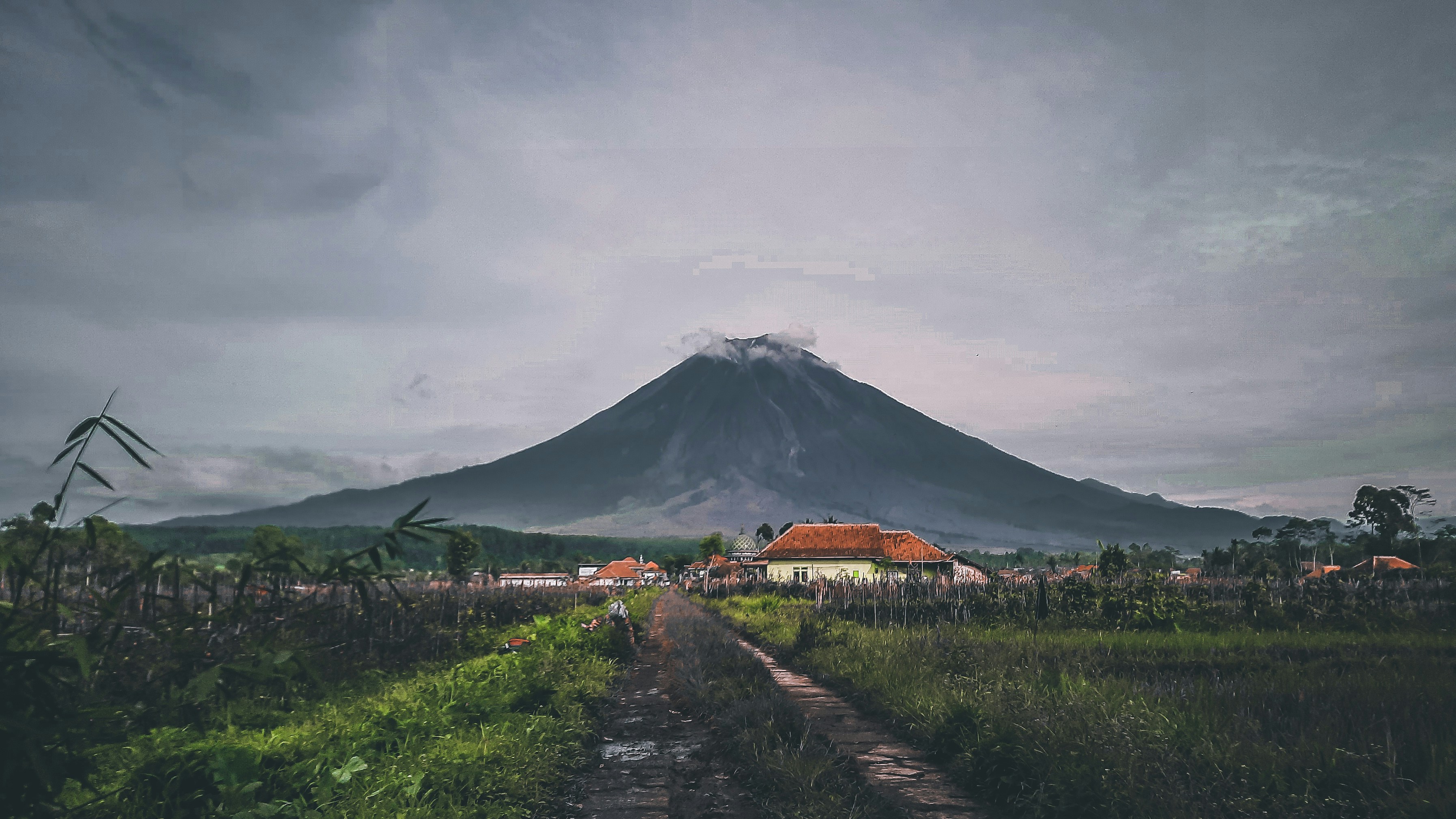 A mountain peak rises above the clouds, with green fields at the foot of the mountain and a few houses in the distance. - free wallpaper image