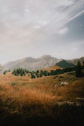 The mountains in the distance are rolling, with green trees covering the slopes and a golden field of grass at the foot of the mountain. - free wallpaper image